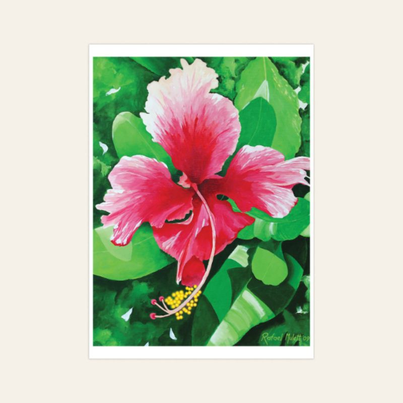 Amapola Set de Postales Artesanales Kraft