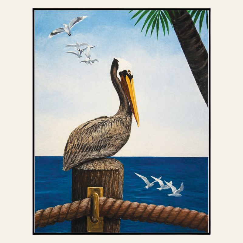 Pelican Impresión Montada