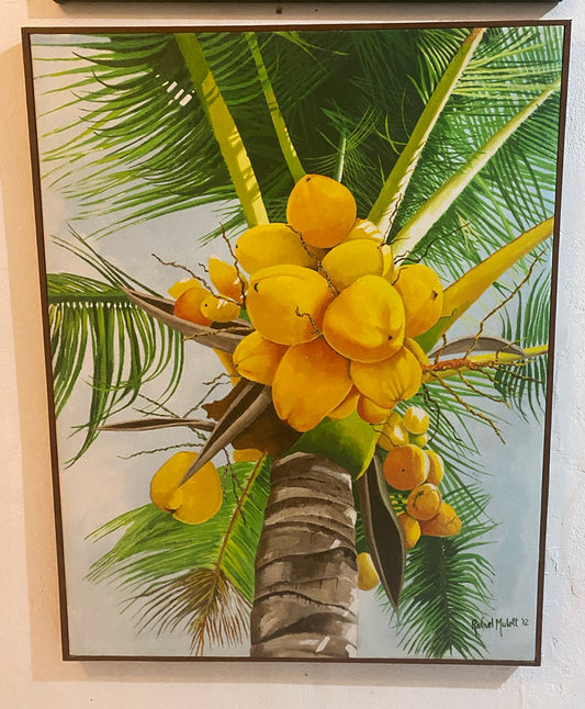 Cocos 3 - (Giclée)