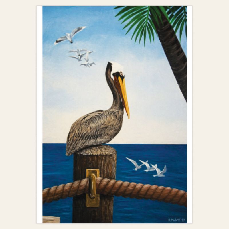 Pelican Set de Postales Artesanales Kraft