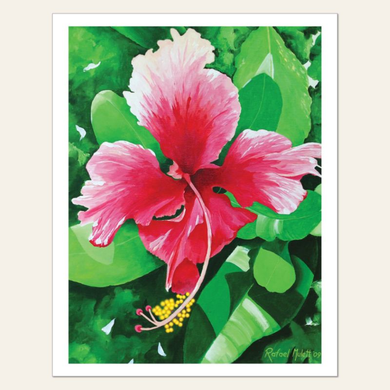 Amapola Póster